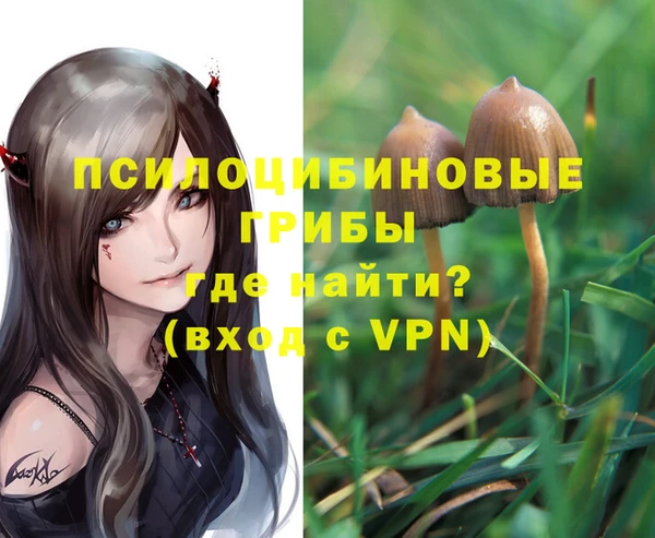 герыч Кинешма